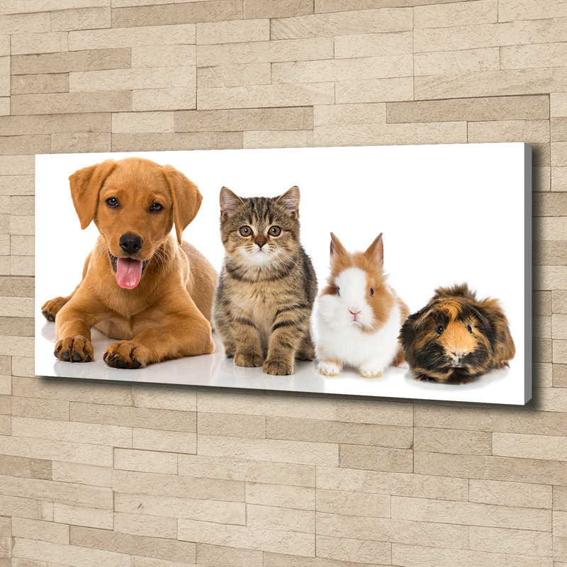 Dog And Cat - No Frame Print on Canvas