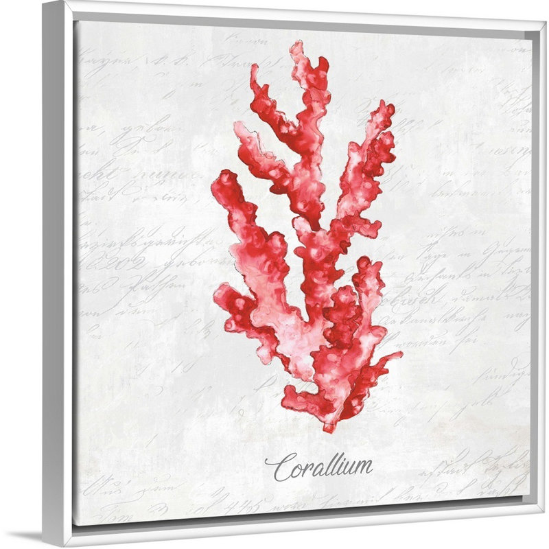 Reproduction d’art graphique sur toile, "Red Sea Coral" par Eva watts, Cadre blanc, H 22 po x l 22 po x P 1,75 po