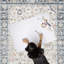 Tapis bleu clair / blanc Benner Killough-1362870651