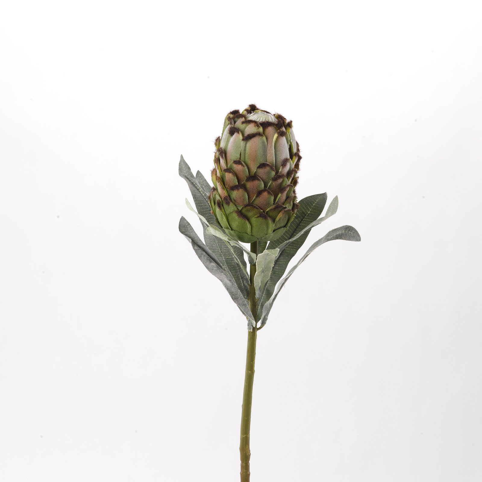 Protea Arrangement