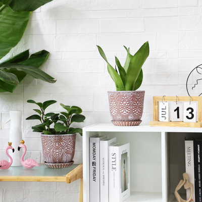 Ceramic Pot Planter