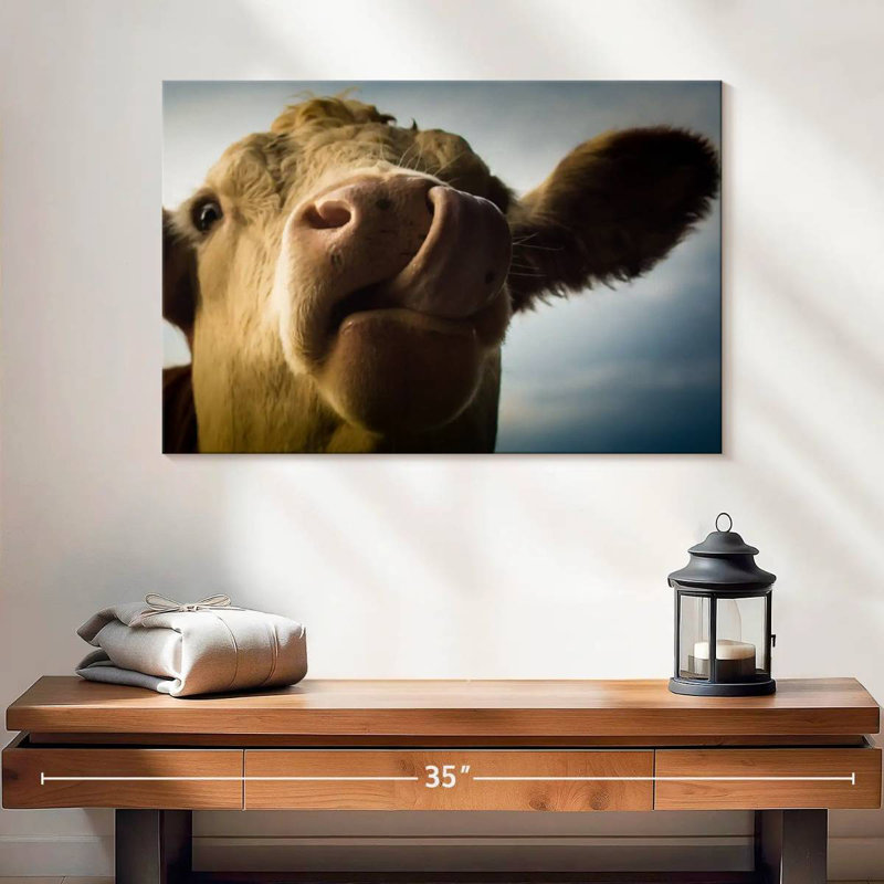 Vache ridicule, H 16 po x l 24 po