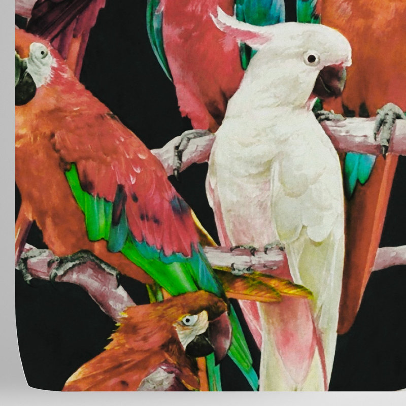 Parrot Wallpaper Black