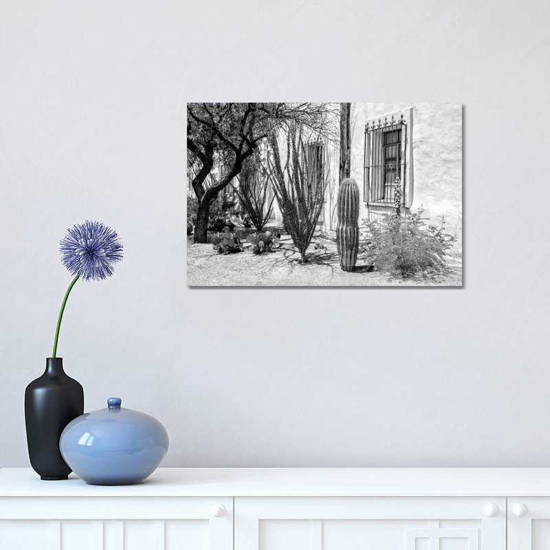 Beautiful Desert Plants by Philippe Hugonnard - Wrapped Canvas Print, 30.48 cm H x 45.72 cm W