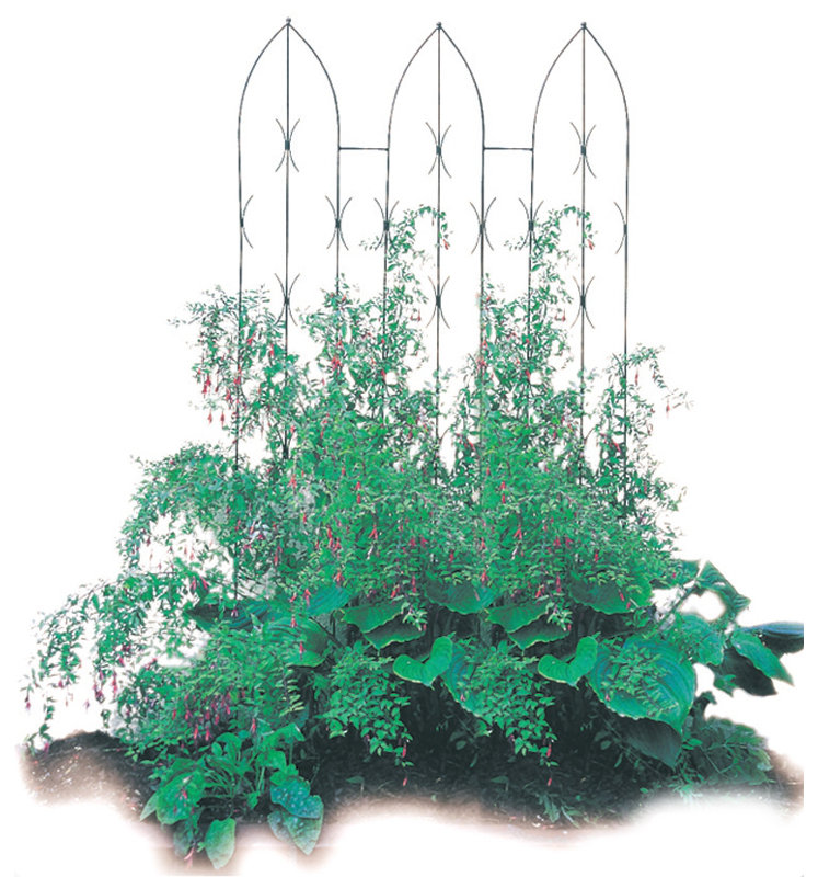 Monson 180cm H x 91.4cm W Gothic Trellis