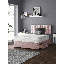 Falconer Upholstered Divan Bed-32622547-133799224-133799229
