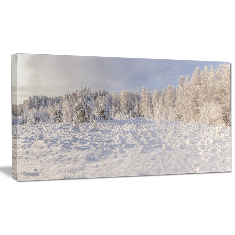 « wood winter glade », reproduction de photo sur toile tendue, H 16 po x l 32 po x P 1 po