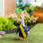 Porch Goose Outfit, Graduation Day-988769398