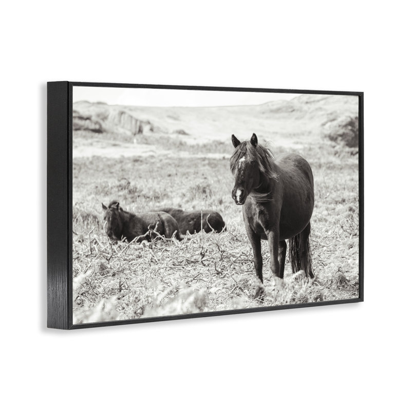 Dartmoor Poneys Lounging, art de la giclée encadrée, conception par Deborah Revell, H 12 po x l 18 po