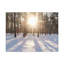 No Frame Print on Canvas-1459706122
