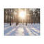 Wall Art on Canvas-1459706120