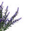 Heather 34 cm H Faux Plant