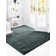 Ryerson Jill Zarin Shaggy Shaggy Chic Rug