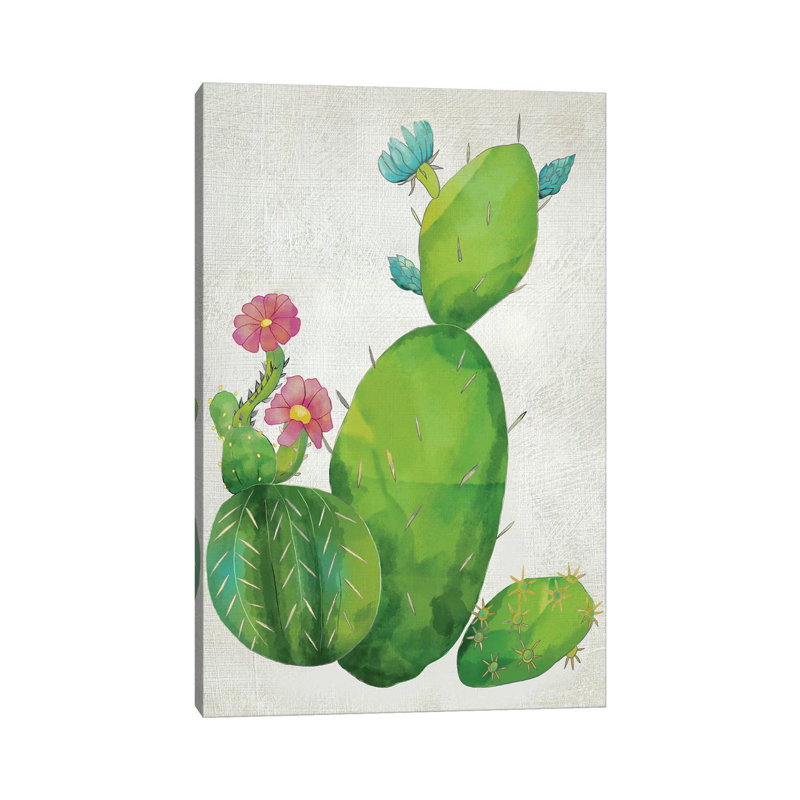 Cacti Collection I by Chariklia Zarris - Wrapped Canvas Gallery-Wrapped Canvas Giclée, 45.72 cm H  x 30.48 cm W