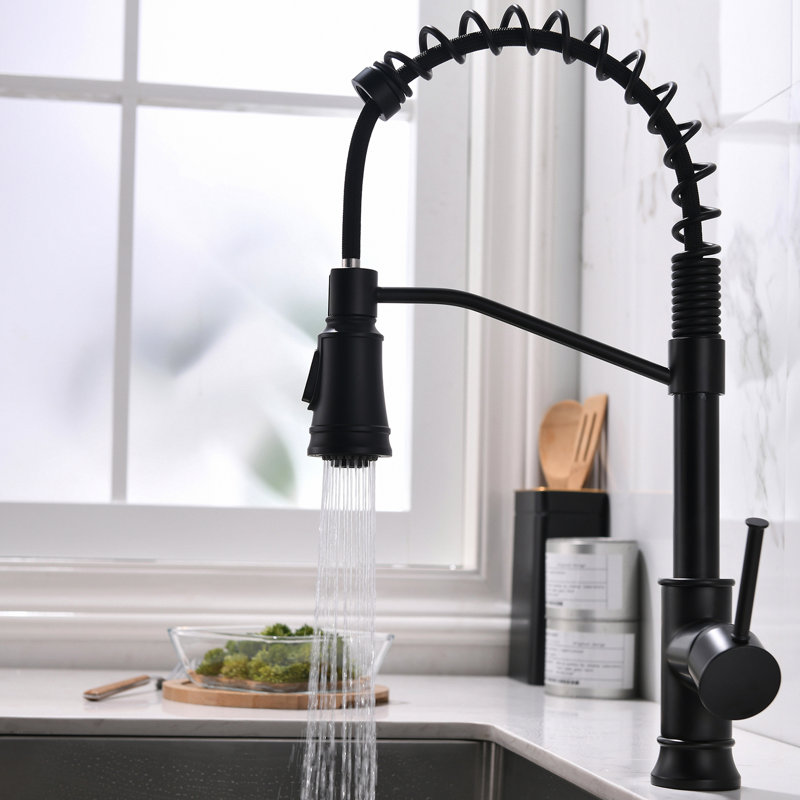 Contemporary Black Kitchen Faucet With Pull Down - Single Handle For Sink Out Coating