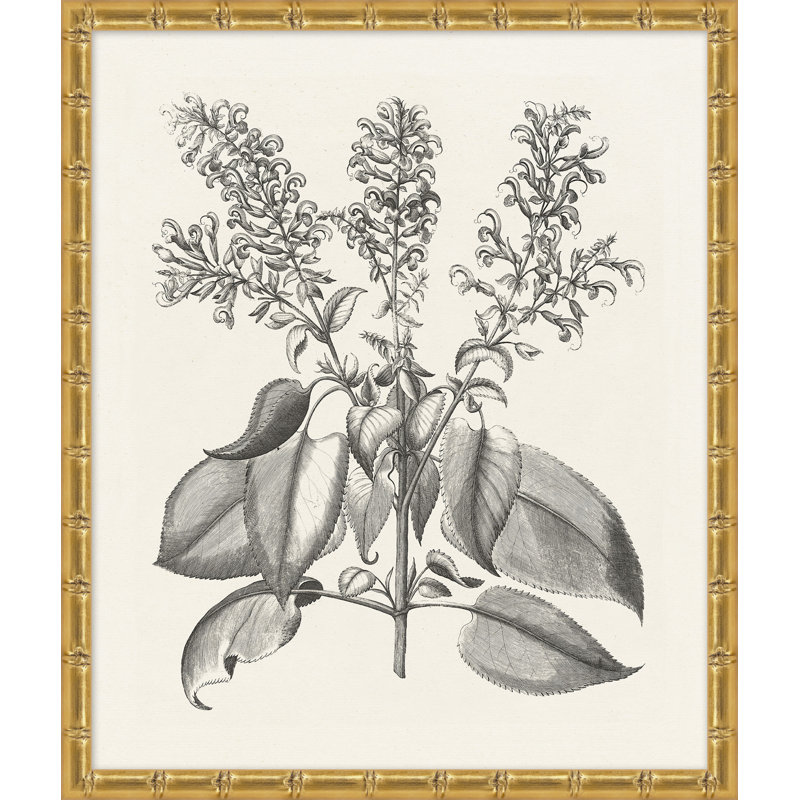 Bessler Study Neutral 10' Framed Graphic Art Print on Glass