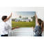 Avalbane Magnetic Cork Corkboard / Bulletin Board Bulletin Board