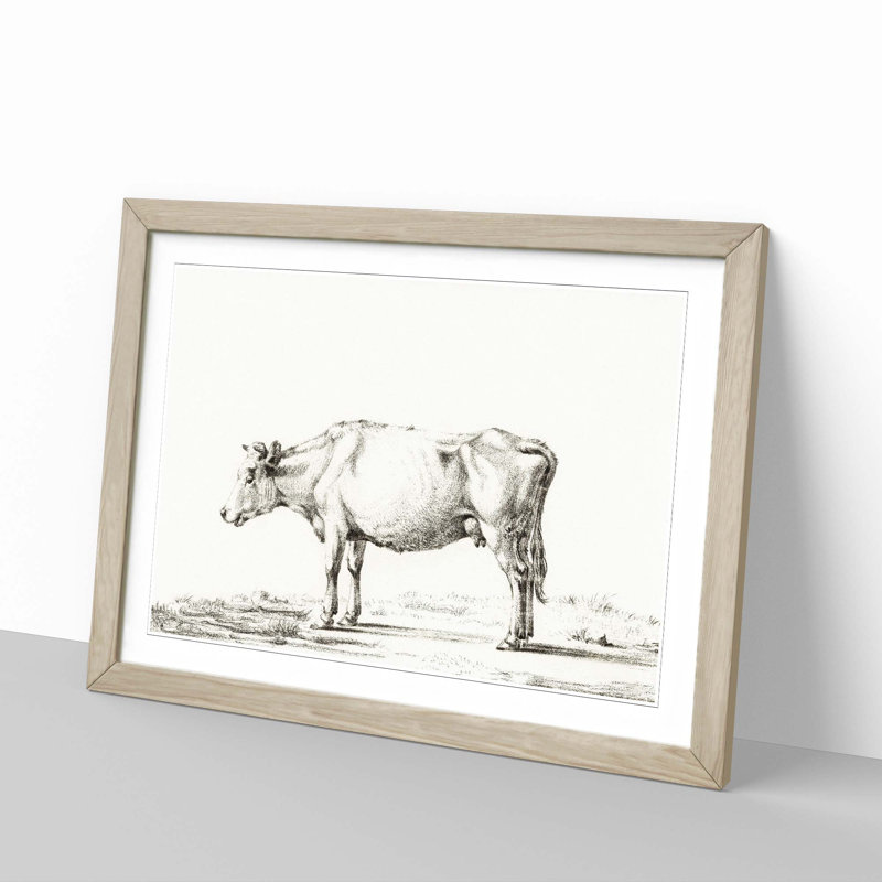 The Portrait of a Cow by Jean Bernard - Picture Frame Drawing Print, 36cm H x 48cm W x 2cm D, Oak Framed