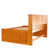 Beckford 6 Drawer Solid Wood Daybed with Bookcase by Viv + Raeâ?¢