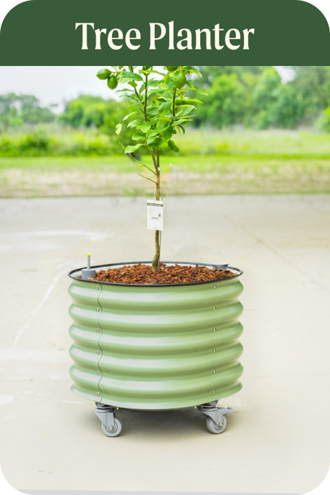 rolliing planters