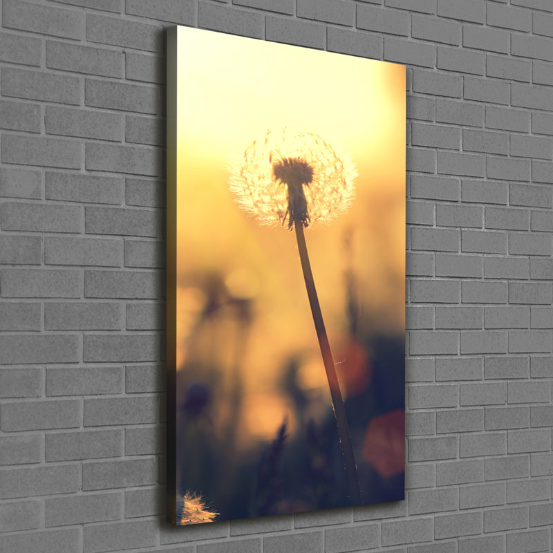 Dandelion - Wrapped Canvas Print