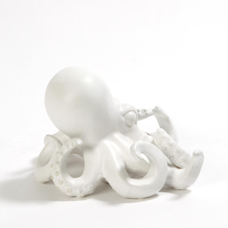 Octopus, White