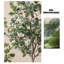 Arbre d'intérieur Simulation Eucalyptus