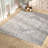Calidia Oriental Light Gray/Cream Area Rug-343670797