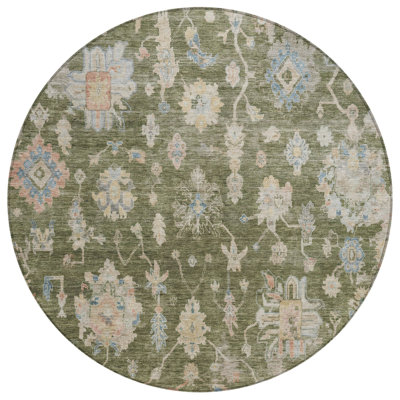 Machine Washable Indoor/Outdoor Chantille ACN2355 Traditional Rug