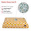 Coussin Links Orthopedic-35291517-35291518