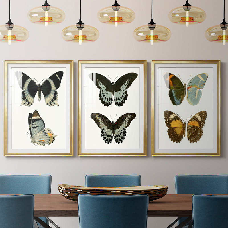Papillons bleus antiques I - reproduction encadrée sur mesure de qualité supérieure mate - 3 pièces, H 27 po x l 39 po, Doré