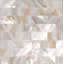 4" x 4" Authentic SeaShell Tile Seamless Brick Mosaic Insert in Veined White Mother of Pearl