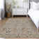 Chayden Indoor/Outdoor Chantille ACN1009 Area Rug