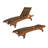 Delphi Outdoor Wood Chaise Lounge Set