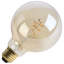 Filament ambré à culot moyen 5,5 watts G25 à DEL 5,5 K à culot moyen en verre transparent à intensité variable de 120 volts-125103655-125103652