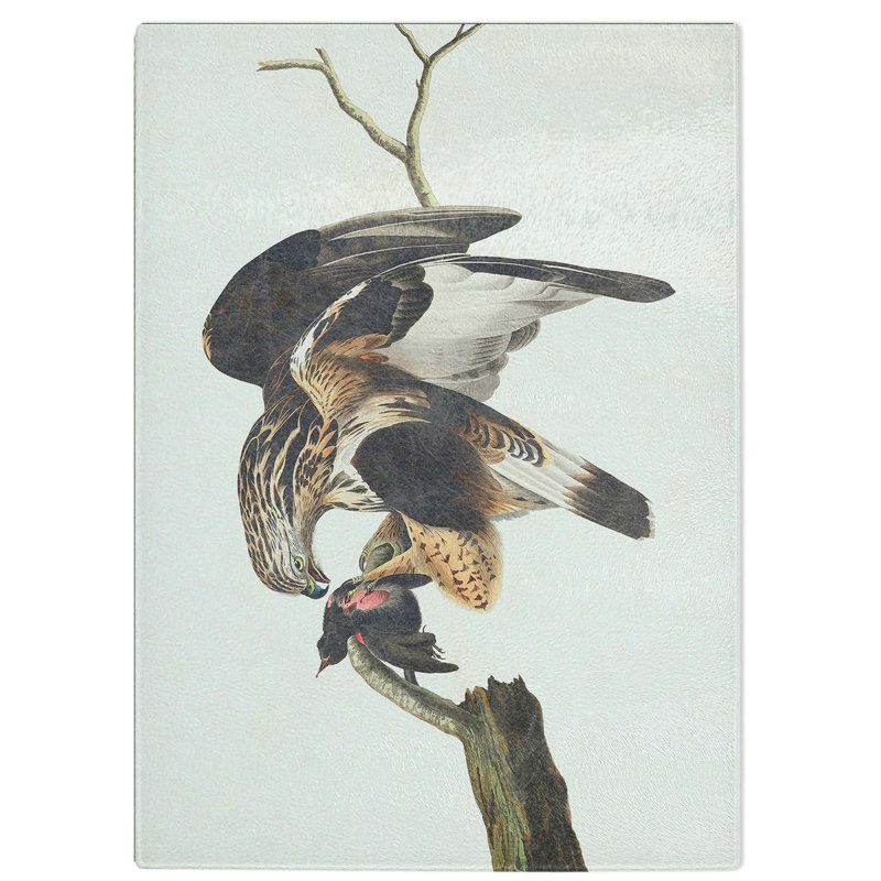 Tempered Glass Rough-Legged Falcon by John James Audubon Chopping Board, 28.5 cm W x 39 cm L
