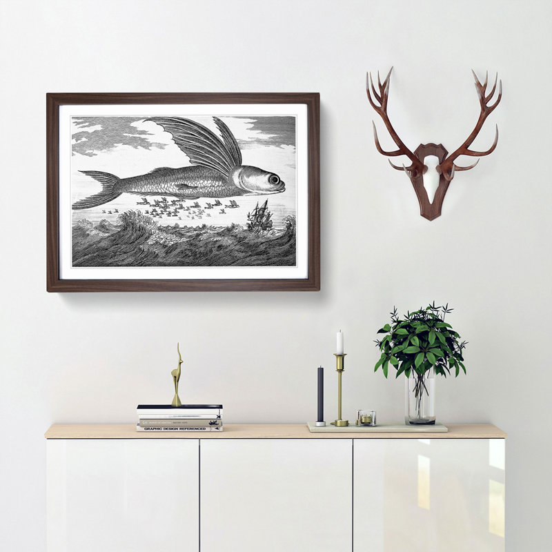 Flying Fish by Thomas Astley - Framed Print, 27cm H x 36cm W x 2cm D, Walnut Framed