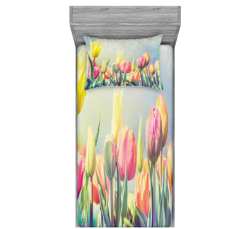 Microfiber Sheet Set, Twin XL Sheet Set with Fitted Sheet