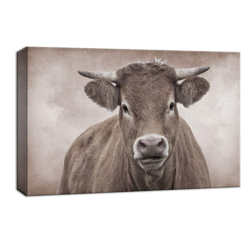 Cow " Cow Portrait On Graphite Background Animals Wilderness ", 24" H x 36" W x 1.5" D
