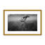Nature Inspired Sunny Morning by  - Picture Frame Photograph on Paper-81386949-131297619-131297620