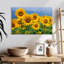 Harnek Honshu tournesols-107708619