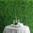 24'' Faux Hedge