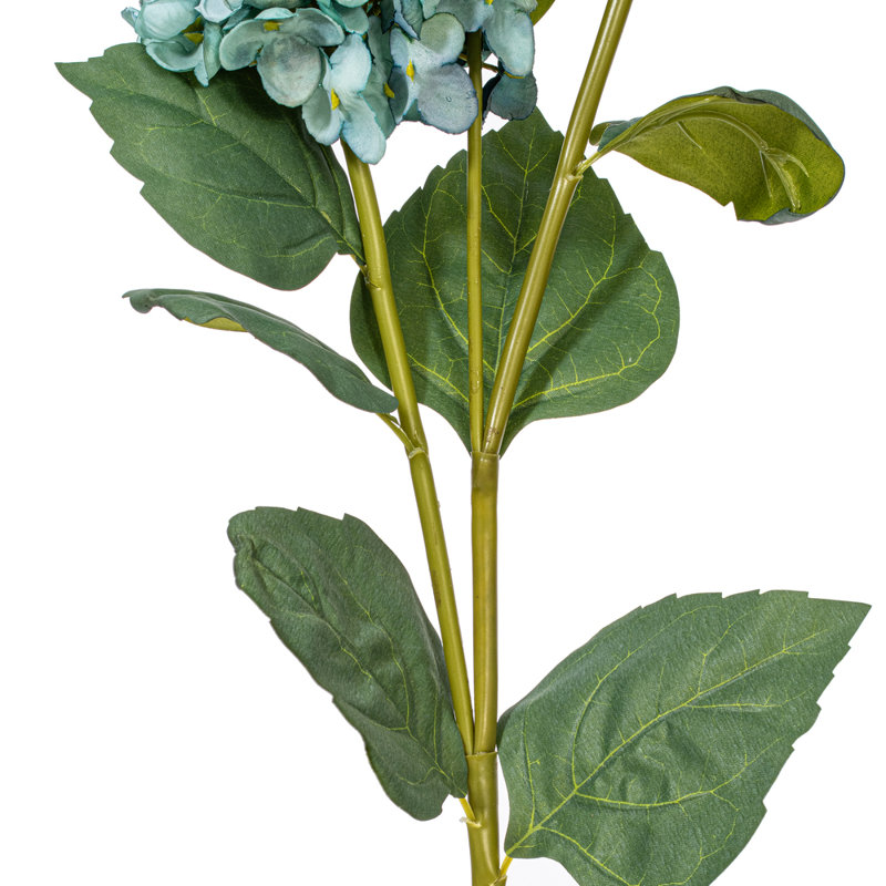 Tige d'hydrangée, Bleu