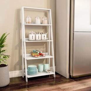 https://assets.wfcdn.com/im/49029081/resize-h310-w310%5Ecompr-r85/1060/106093146/Ladder+Bookcase.jpg