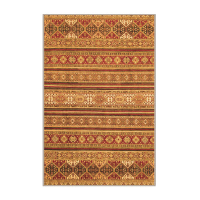 Southwestern Indoor Rug