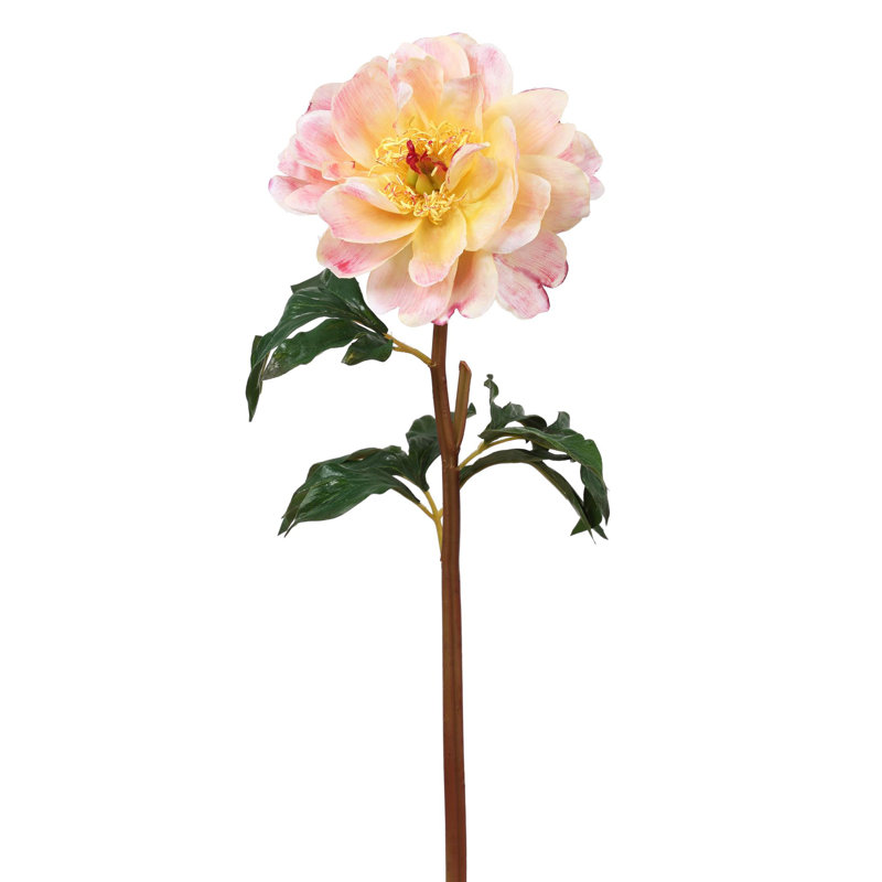PEONY SINGLE SHORT STEM, Pink
