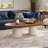 51.2" Modern Oval Brown Coffee Table With 2 Legs, Solid Wood Veneer for Living Room