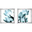 Ensemble de 2 tulipes translucides encadrées sur papier