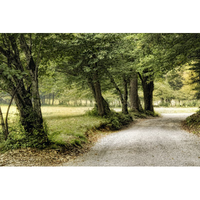 Path In The Country - Wrapped Canvas Painting