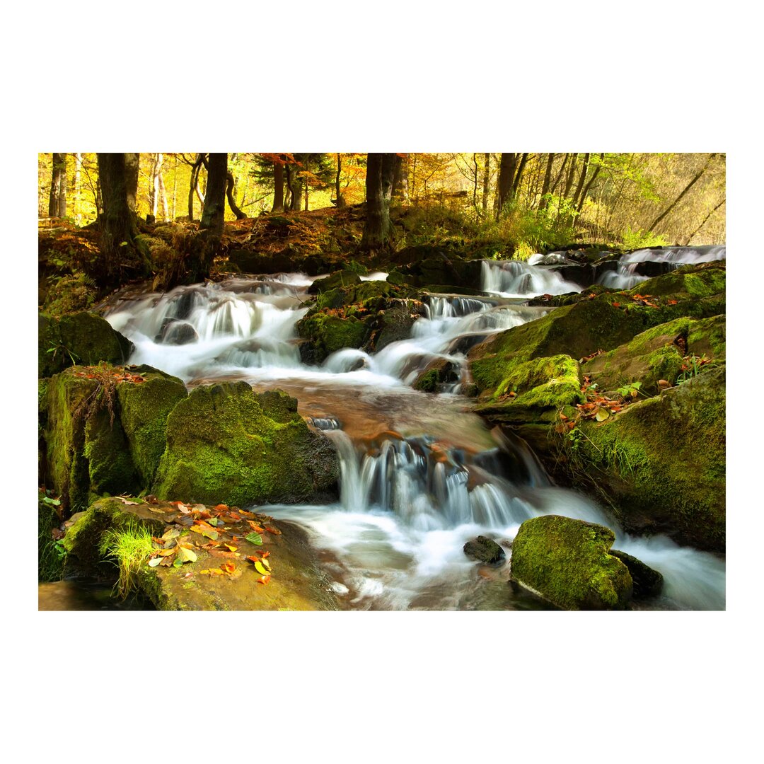 Strukturierte Fototapete Autumnal Waterfall 2,55 m x 384 cm